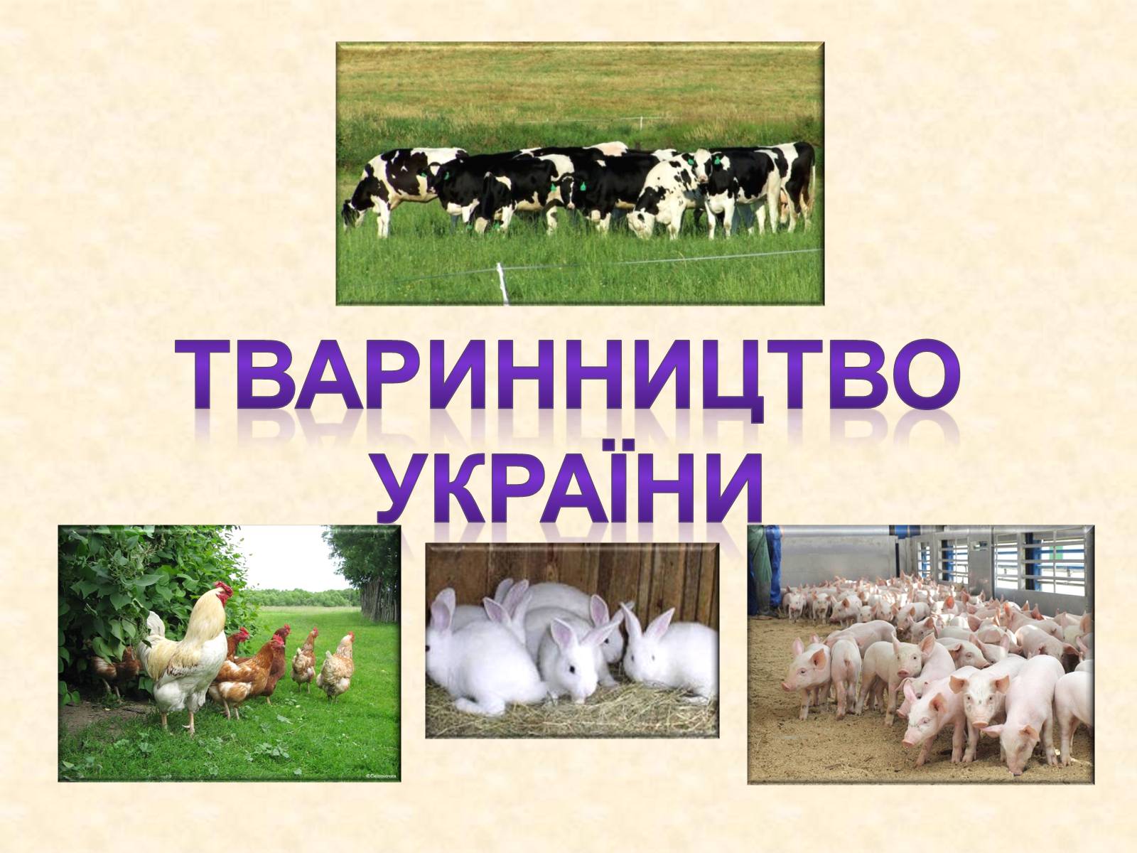 Презентація на тему «Тваринництво» (варіант 2) - Слайд #1 Презентація на тему «Тваринництво» (варіант 2) - Слайд #1