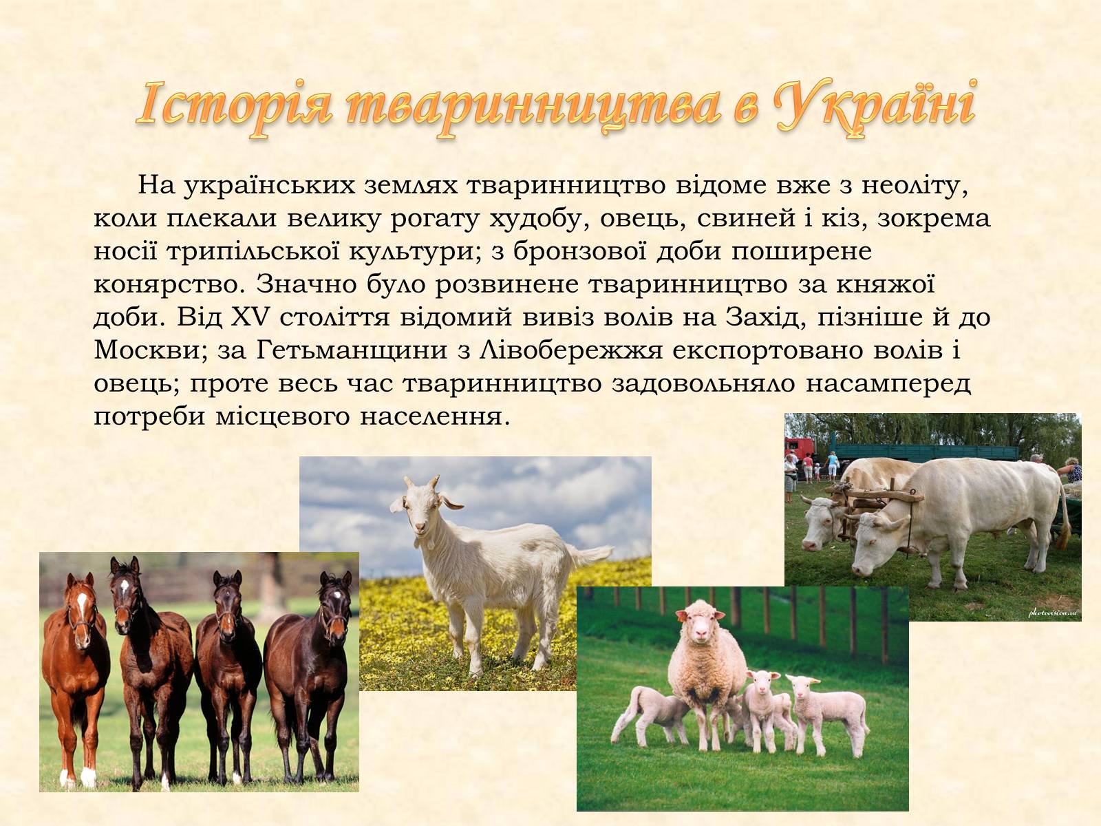 Презентація на тему «Тваринництво» (варіант 2) - Слайд #2 Презентація на тему «Тваринництво» (варіант 2) - Слайд #2