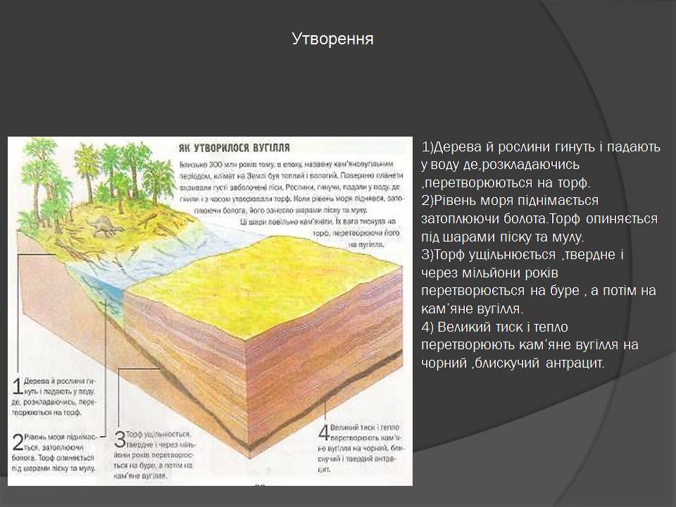 Презентація на тему «Кам’яне вугілля» (варіант 10) - Слайд #9 Презентація на тему «Кам’яне вугілля» (варіант 10) - Слайд #9