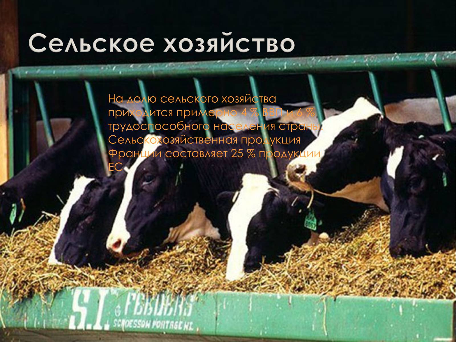 Презентація на тему «Франция» (варіант 3) - Слайд #22 Презентація на тему «Франция» (варіант 3) - Слайд #22