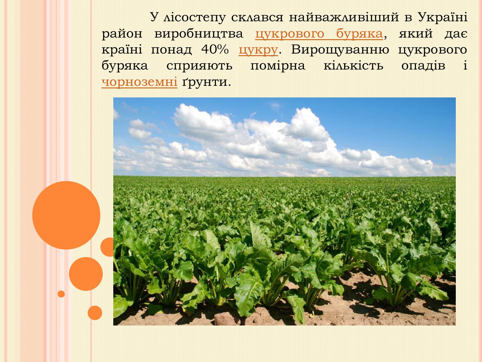 Презентація на тему «Рослинництво» (варіант 1) - Слайд #8 Презентація на тему «Рослинництво» (варіант 1) - Слайд #8