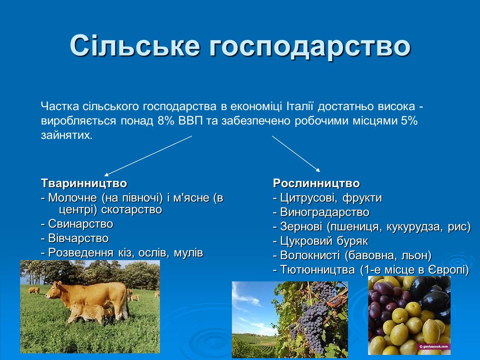 Презентація на тему «Італійська республіка» - Слайд #24 Презентація на тему «Італійська республіка» - Слайд #24