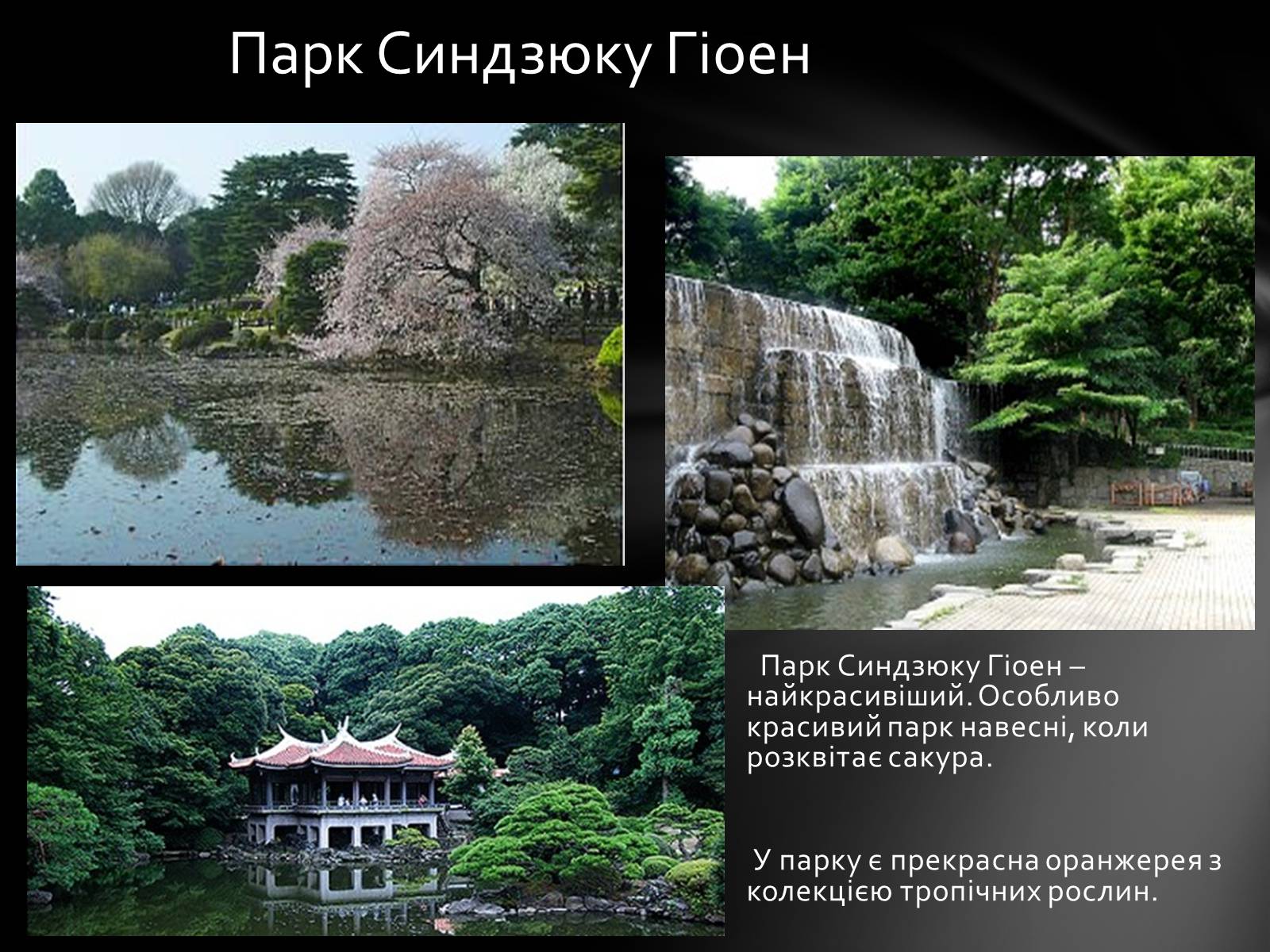 Презентація на тему «Японія» (варіант 18) - Слайд #11 Презентація на тему «Японія» (варіант 18) - Слайд #11