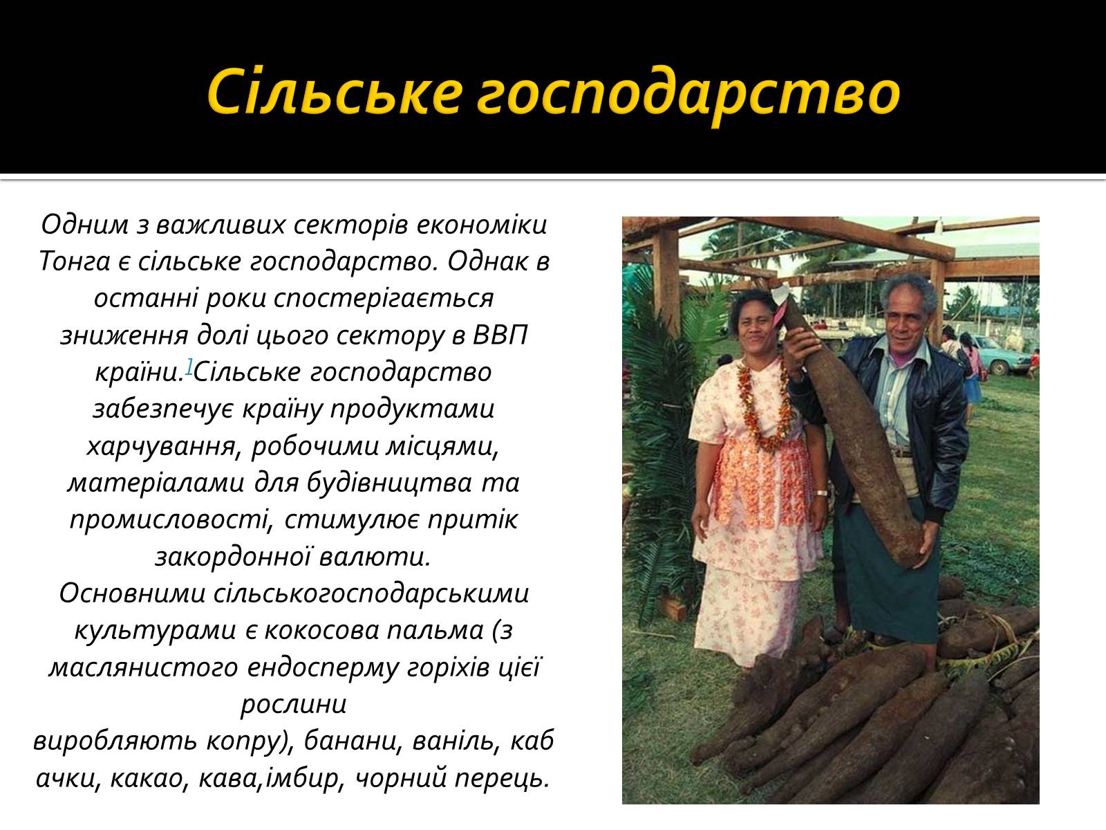 Презентація на тему «Тонга» - Слайд #10 Презентація на тему «Тонга» - Слайд #10