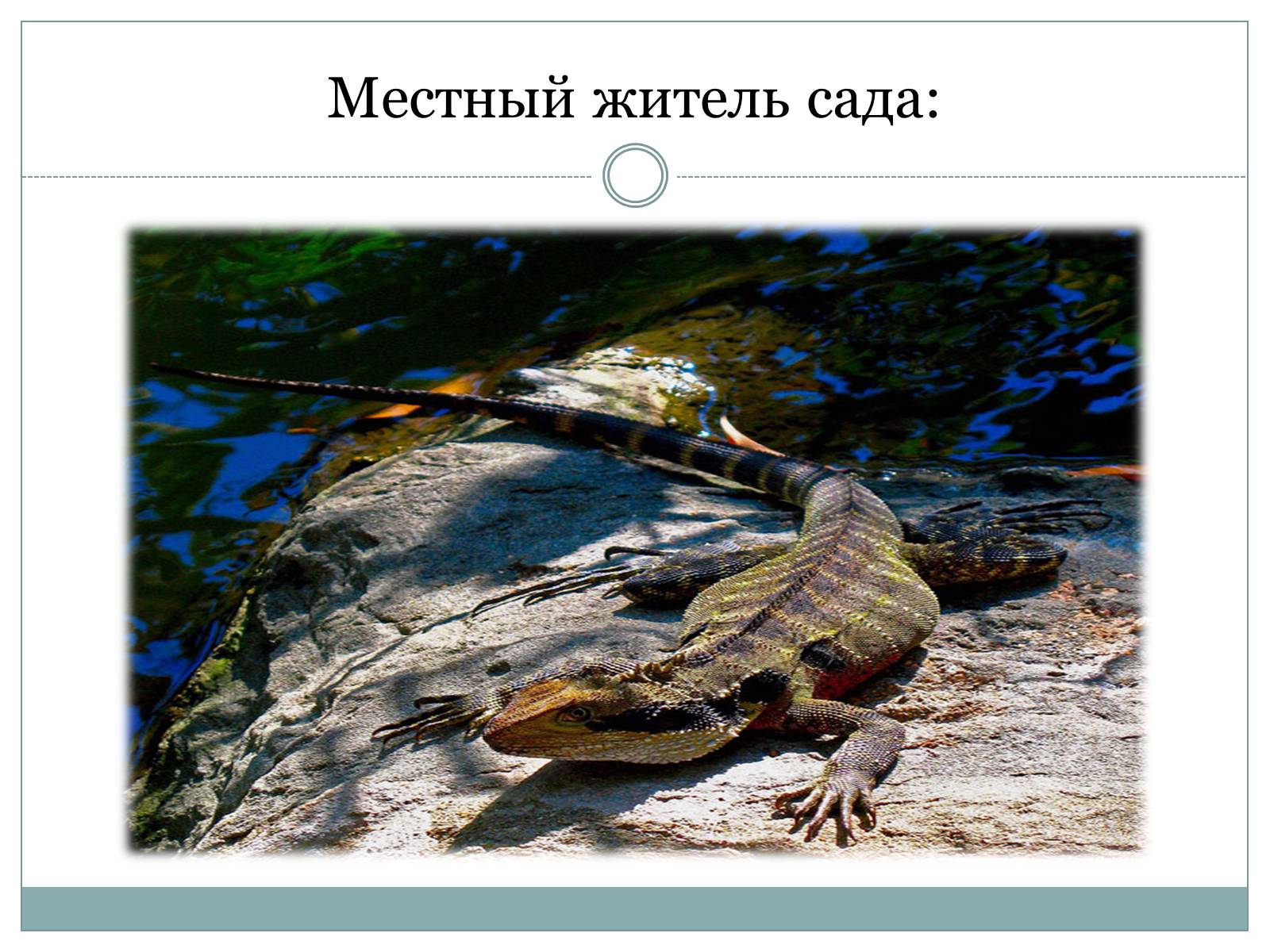Презентація на тему «Китайский сад дружбы» - Слайд #6 Презентація на тему «Китайский сад дружбы» - Слайд #6