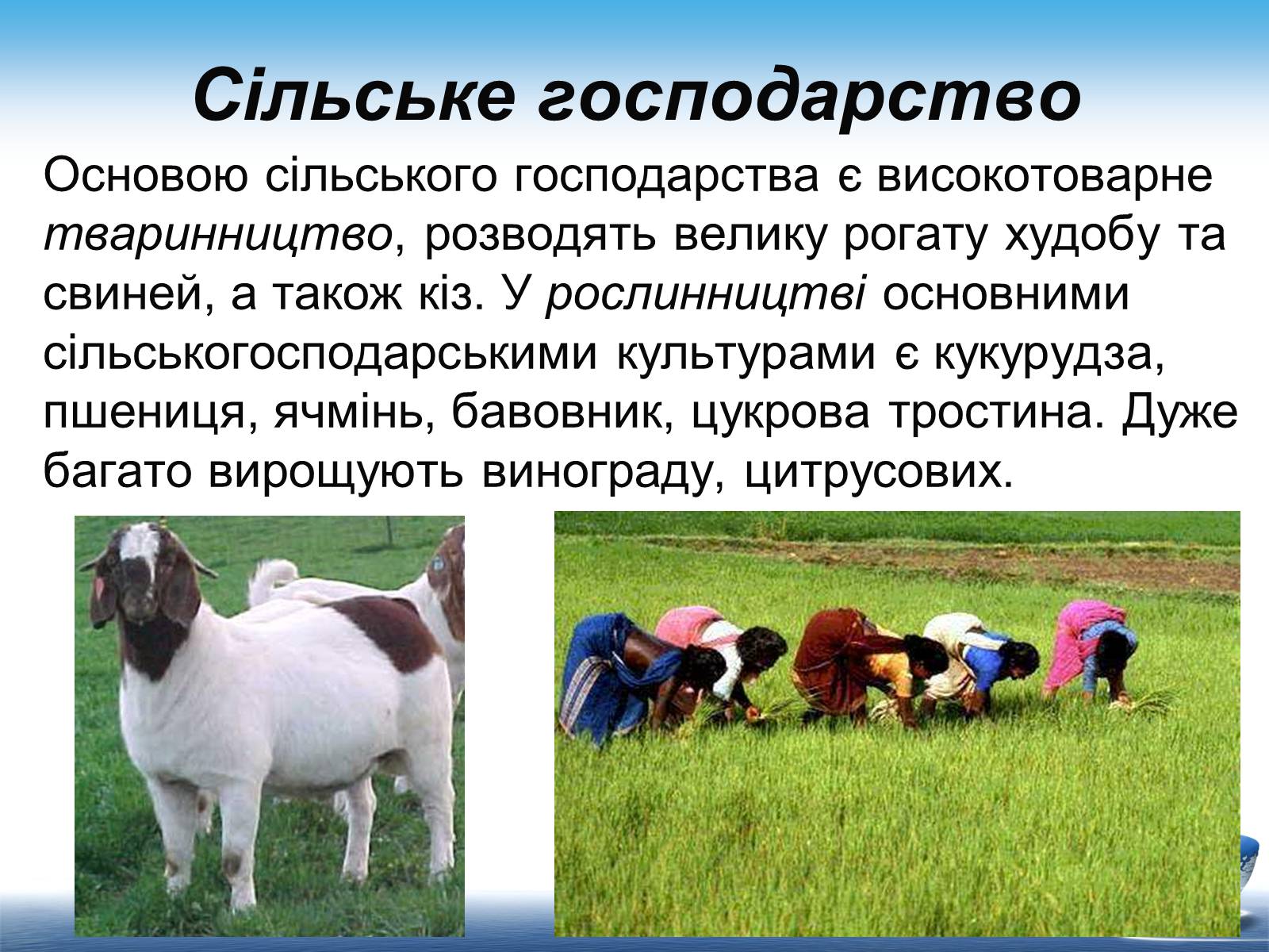 Презентація на тему «Південно-Африканська Республіка» (варіант 7) - Слайд #15 Презентація на тему «Південно-Африканська Республіка» (варіант 7) - Слайд #15