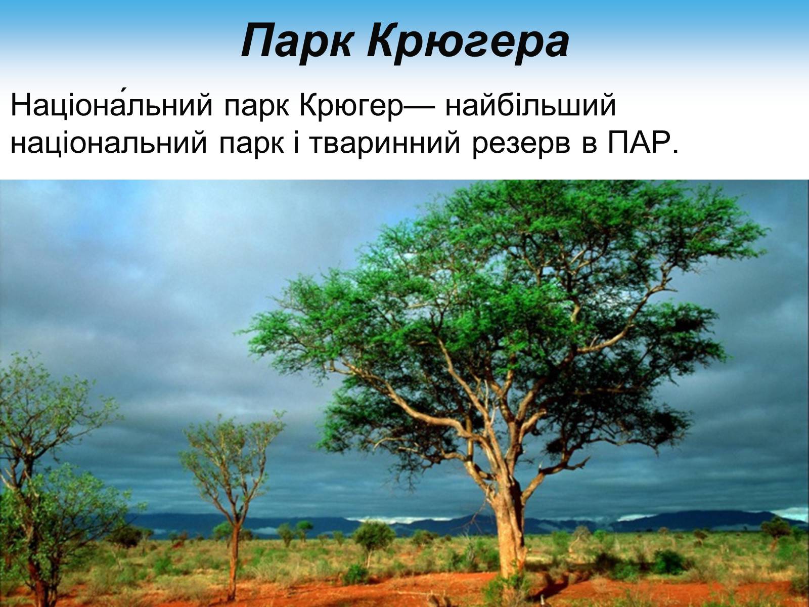 Презентація на тему «Південно-Африканська Республіка» (варіант 7) - Слайд #19 Презентація на тему «Південно-Африканська Республіка» (варіант 7) - Слайд #19