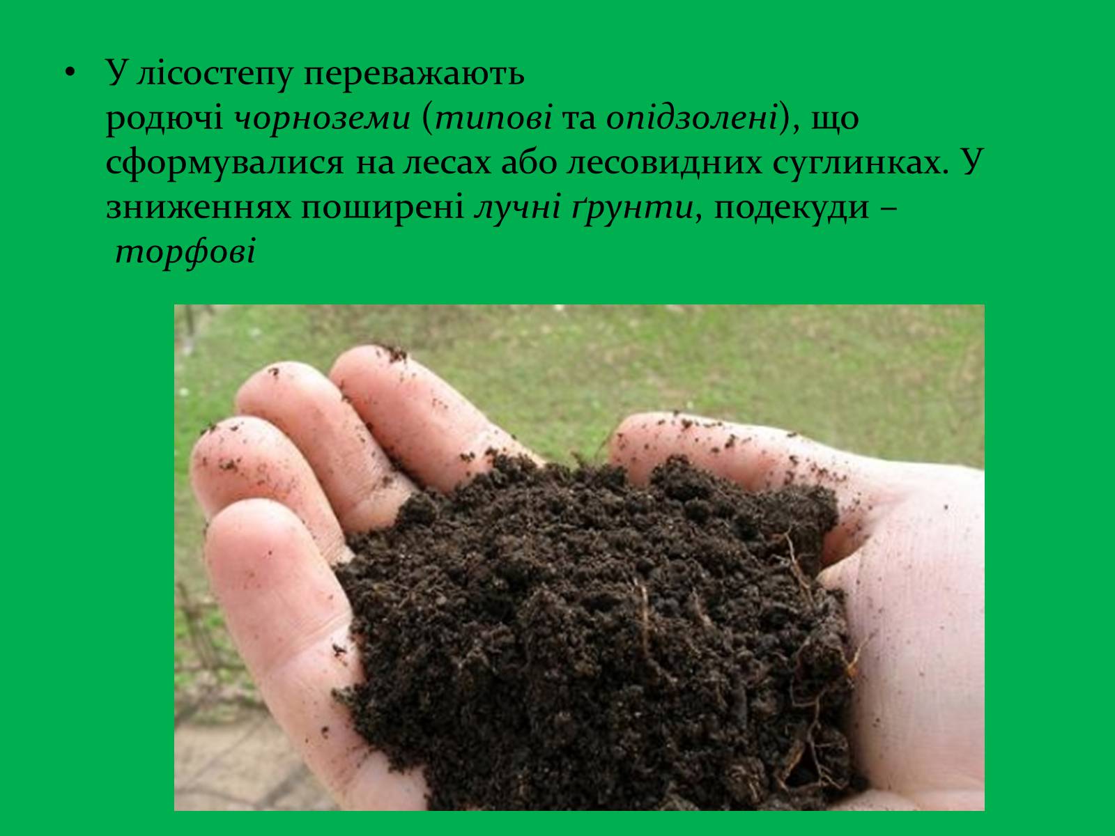 Презентація на тему «Зона Лісостепу» (варіант 1) - Слайд #16 Презентація на тему «Зона Лісостепу» (варіант 1) - Слайд #16