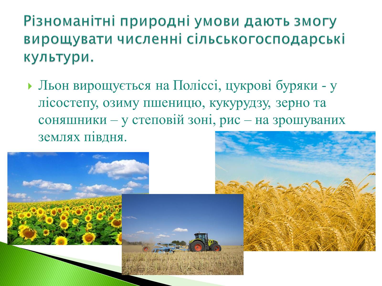 Презентація на тему «Господарство України» - Слайд #14 Презентація на тему «Господарство України» - Слайд #14