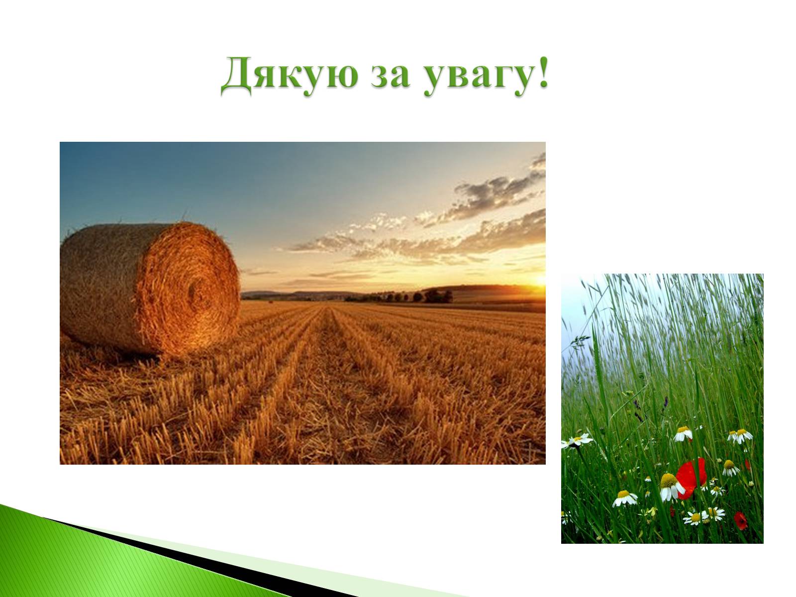 Презентація на тему «Господарство України» - Слайд #15 Презентація на тему «Господарство України» - Слайд #15