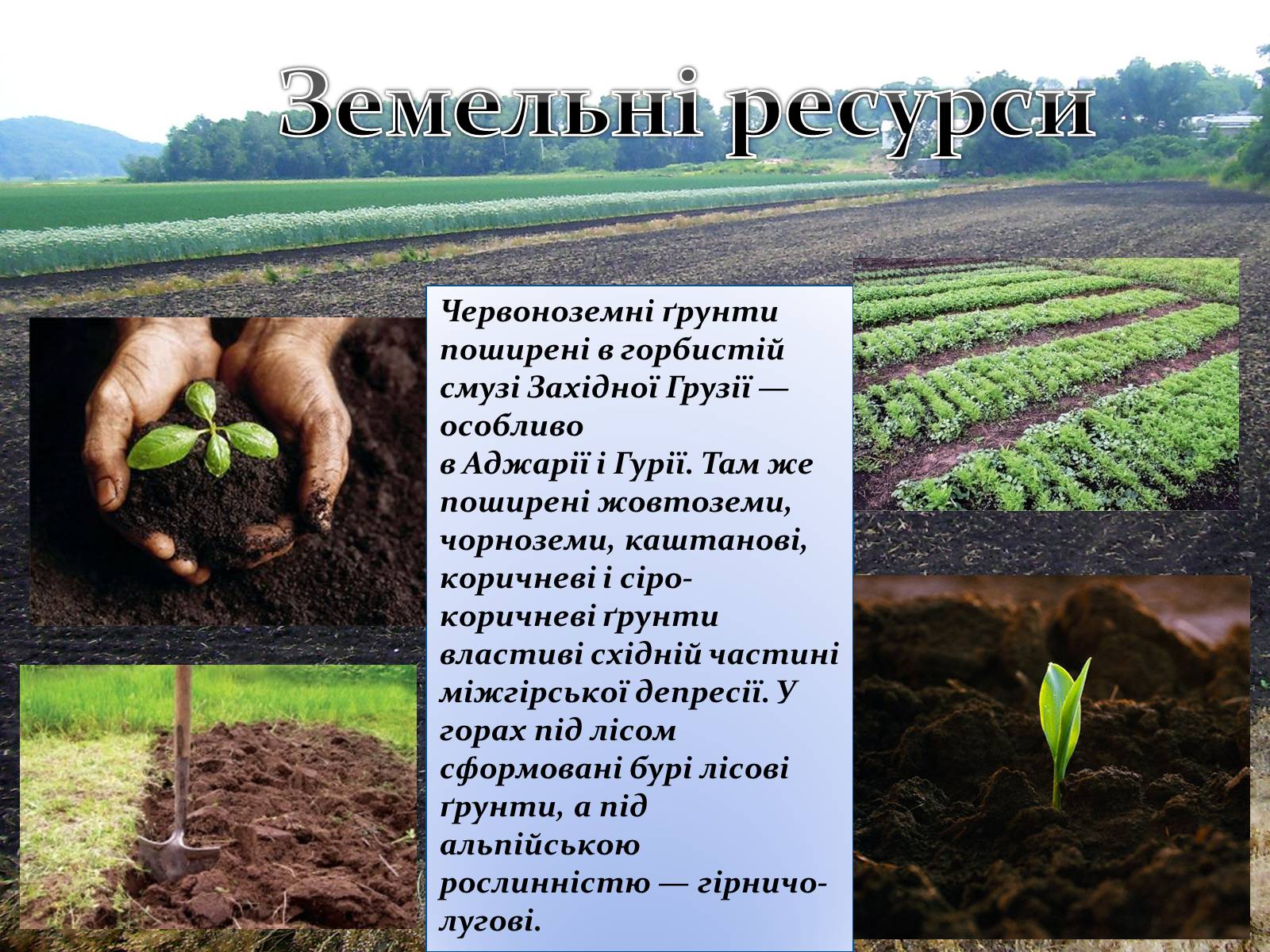 Презентація на тему «Закавказзя» - Слайд #11 Презентація на тему «Закавказзя» - Слайд #11