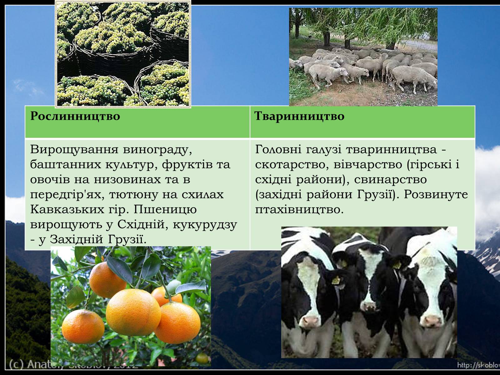 Презентація на тему «Закавказзя» - Слайд #18 Презентація на тему «Закавказзя» - Слайд #18
