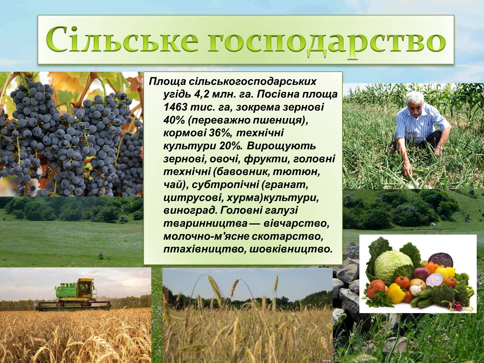 Презентація на тему «Закавказзя» - Слайд #52 Презентація на тему «Закавказзя» - Слайд #52