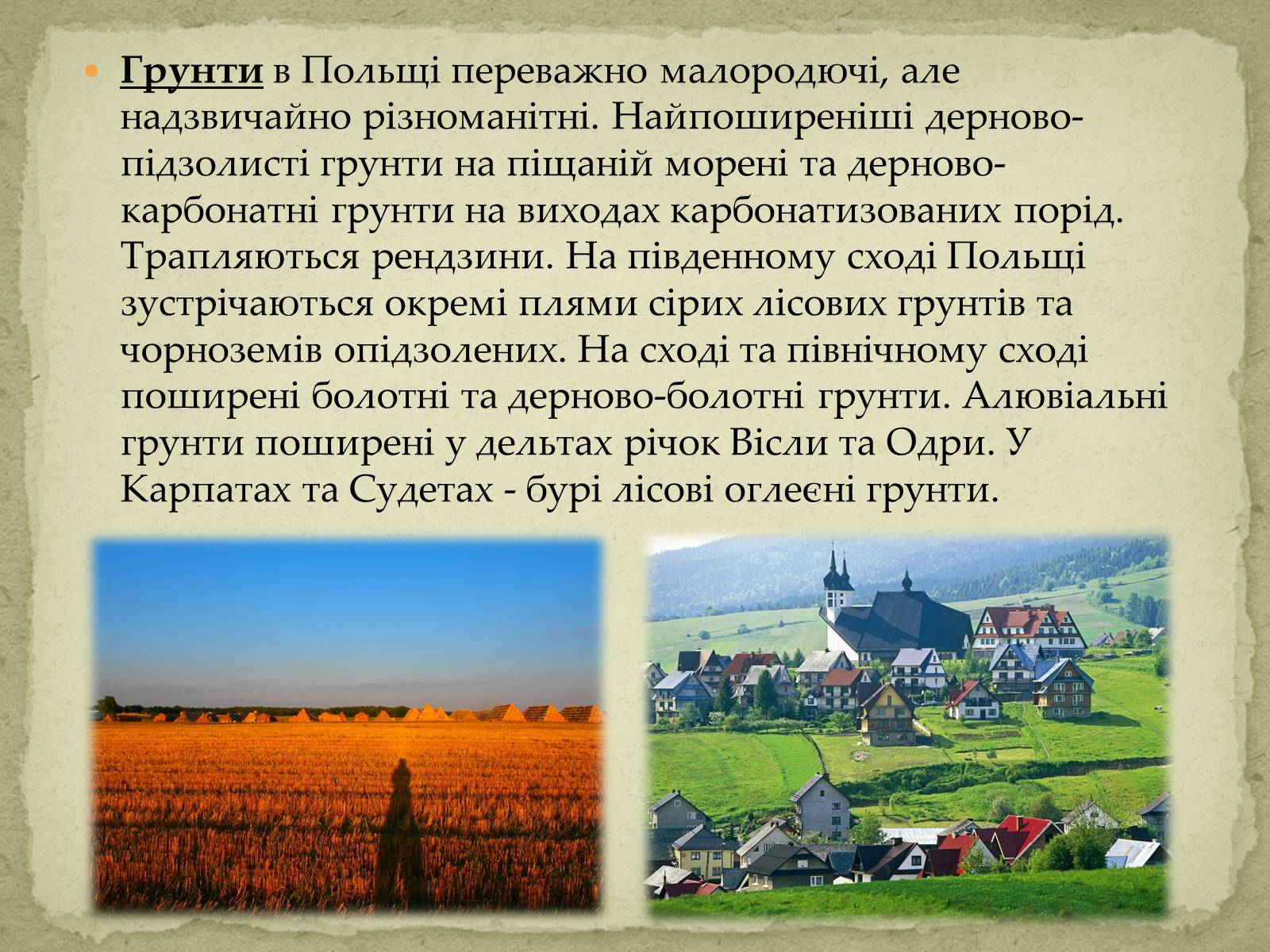 Презентація на тему «Польща» (варіант 10) - Слайд #8 Презентація на тему «Польща» (варіант 10) - Слайд #8