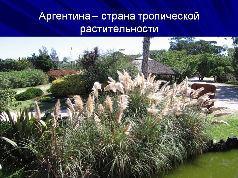 Презентація на тему «Аргентина» (варіант 10) - Слайд #10 Презентація на тему «Аргентина» (варіант 10) - Слайд #10