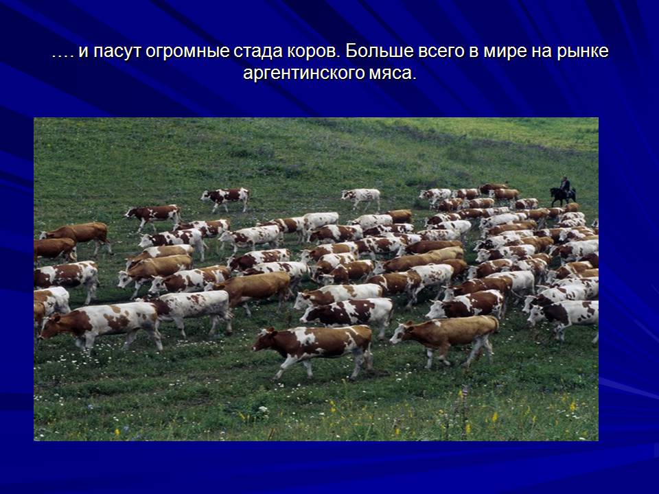 Презентація на тему «Аргентина» (варіант 10) - Слайд #12 Презентація на тему «Аргентина» (варіант 10) - Слайд #12