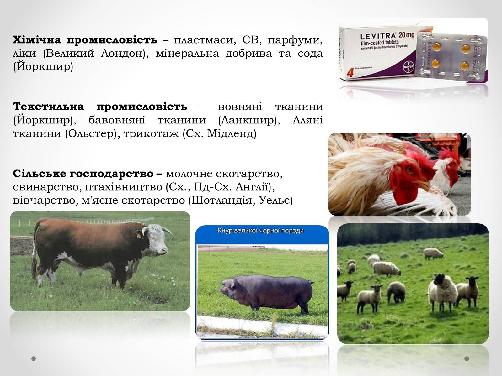 Презентація на тему «Велика Британія» (варіант 15) - Слайд #24 Презентація на тему «Велика Британія» (варіант 15) - Слайд #24