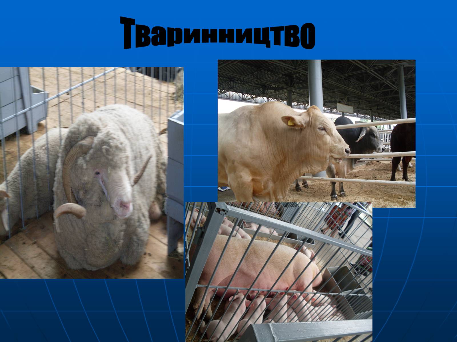 Презентація на тему «Німеччина» (варіант 25) - Слайд #29 Презентація на тему «Німеччина» (варіант 25) - Слайд #29