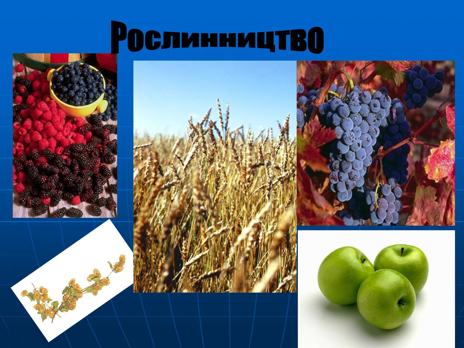 Презентація на тему «Німеччина» (варіант 25) - Слайд #30 Презентація на тему «Німеччина» (варіант 25) - Слайд #30