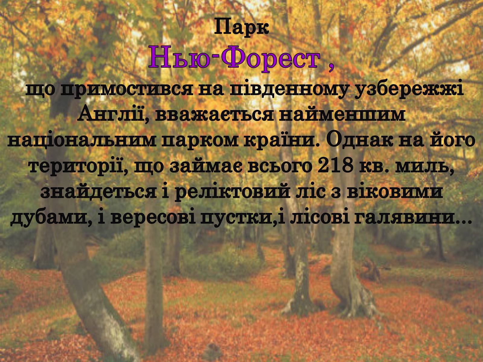 Презентація на тему «Природні парки Великобританії» - Слайд #16 Презентація на тему «Природні парки Великобританії» - Слайд #16