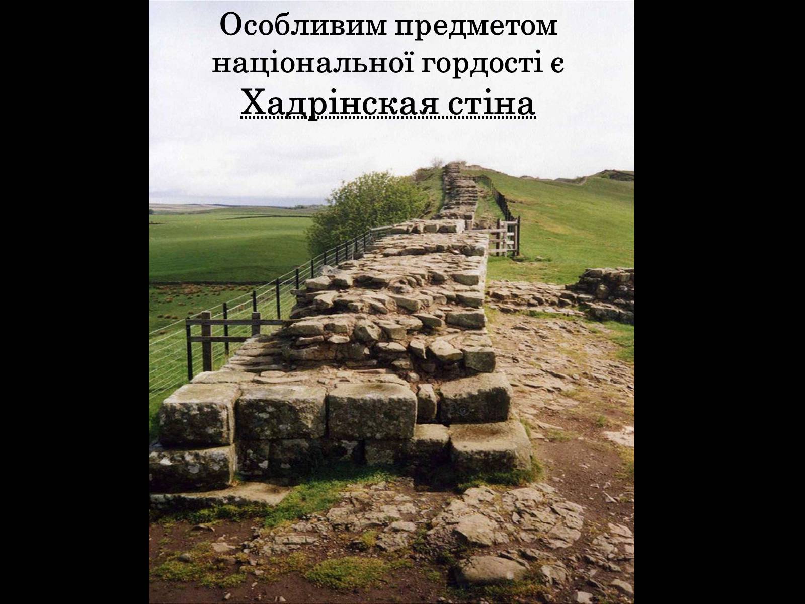 Презентація на тему «Природні парки Великобританії» - Слайд #25 Презентація на тему «Природні парки Великобританії» - Слайд #25