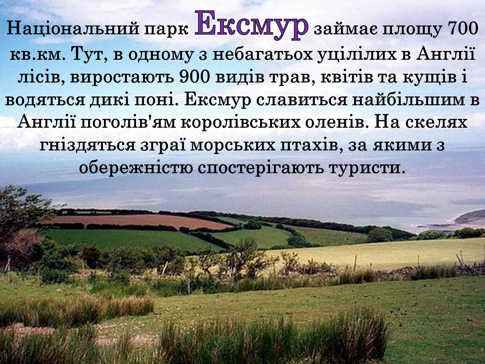 Презентація на тему «Природні парки Великобританії» - Слайд #9 Презентація на тему «Природні парки Великобританії» - Слайд #9