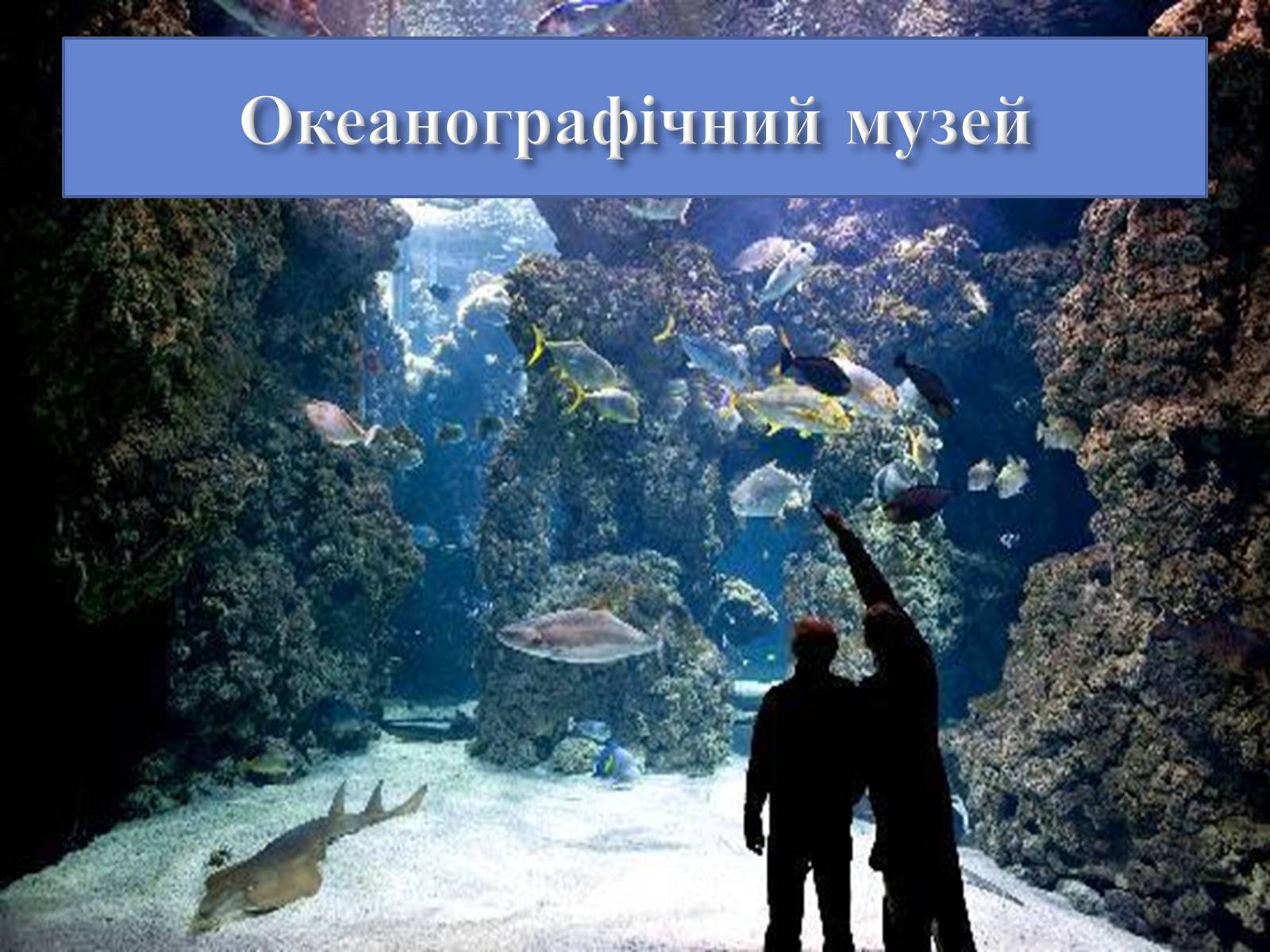 Презентація на тему «Візитна картка Монако» - Слайд #19 Презентація на тему «Візитна картка Монако» - Слайд #19