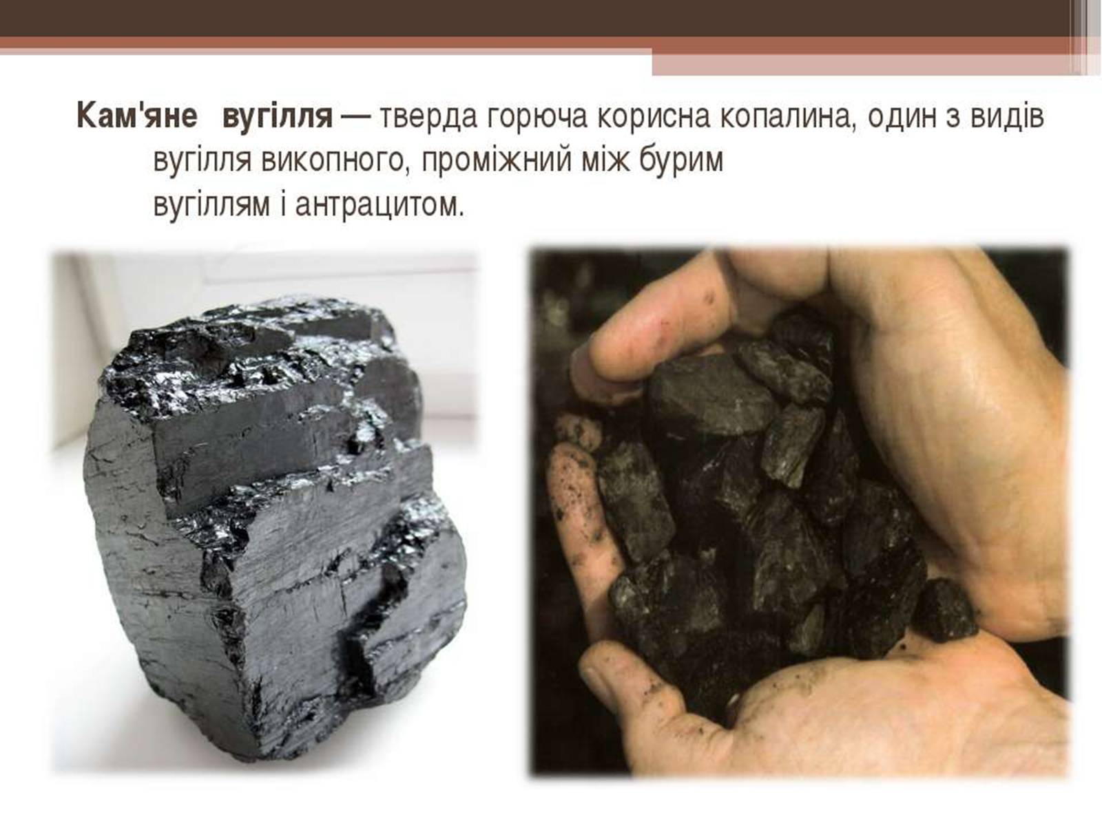 Презентація на тему «Кам’яне вугілля та продукти його переробки» (варіант 3) - Слайд #2 Презентація на тему «Кам’яне вугілля та продукти його переробки» (варіант 3) - Слайд #2