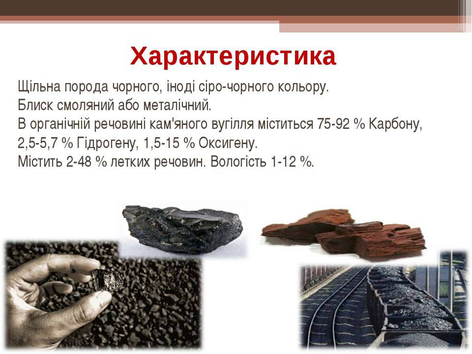 Презентація на тему «Кам’яне вугілля та продукти його переробки» (варіант 3) - Слайд #3 Презентація на тему «Кам’яне вугілля та продукти його переробки» (варіант 3) - Слайд #3