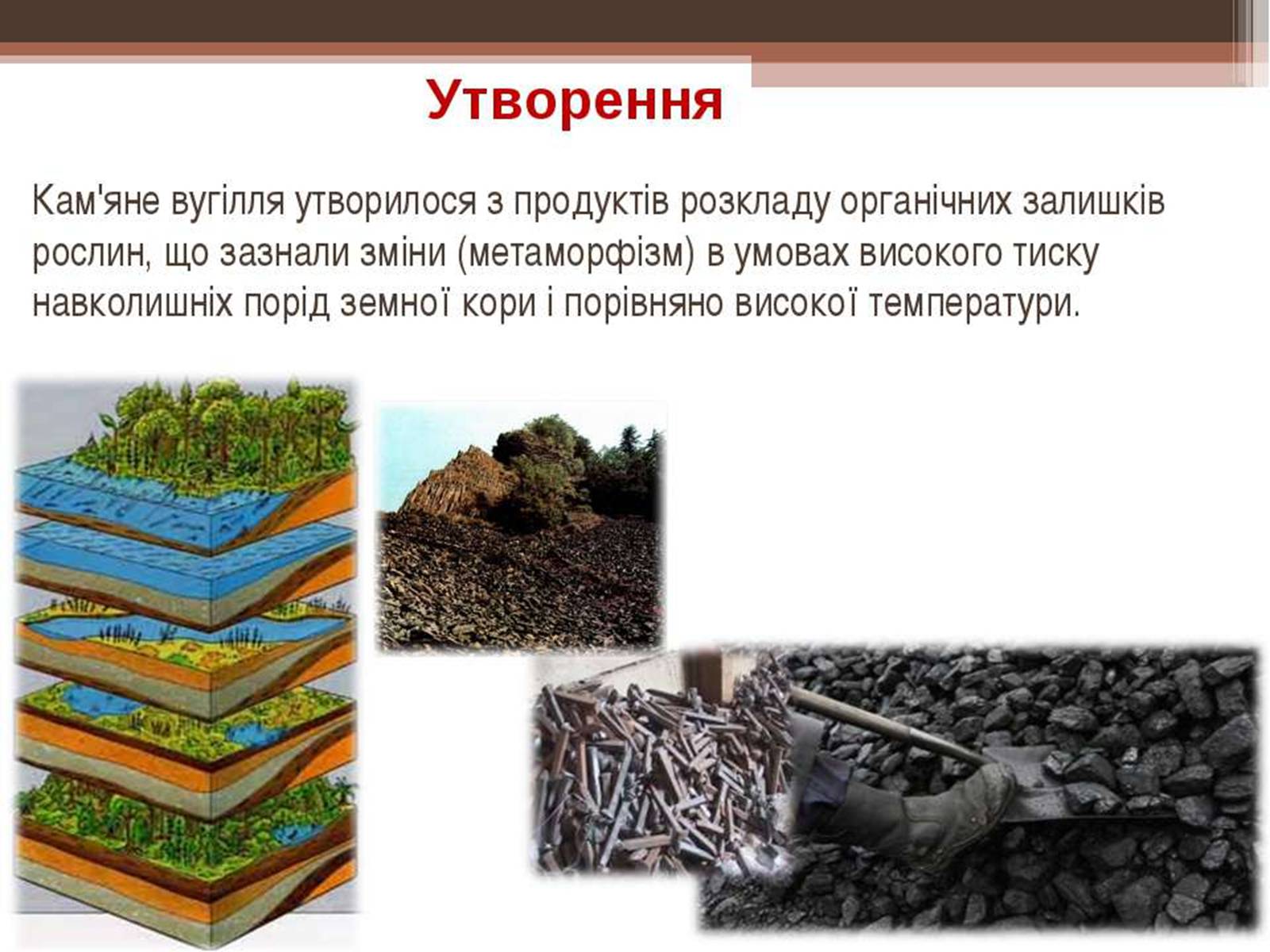 Презентація на тему «Кам’яне вугілля та продукти його переробки» (варіант 3) - Слайд #5 Презентація на тему «Кам’яне вугілля та продукти його переробки» (варіант 3) - Слайд #5