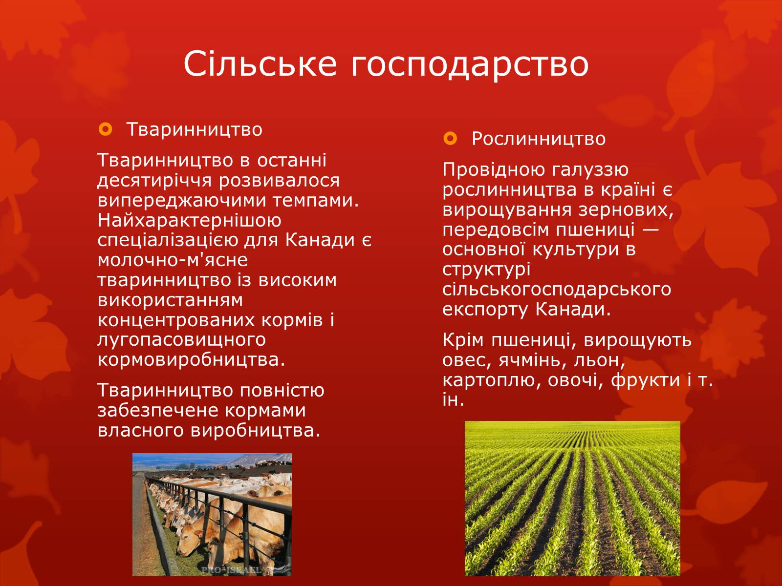 Презентація на тему «Канада» (варіант 19) - Слайд #11 Презентація на тему «Канада» (варіант 19) - Слайд #11