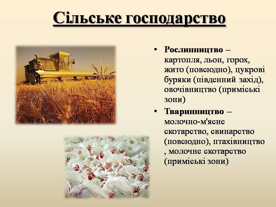 Презентація на тему «Республіка Білорусь» (варіант 5) - Слайд #12 Презентація на тему «Республіка Білорусь» (варіант 5) - Слайд #12