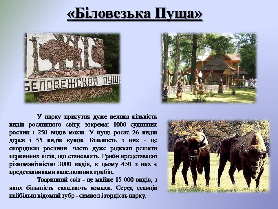 Презентація на тему «Республіка Білорусь» (варіант 5) - Слайд #7 Презентація на тему «Республіка Білорусь» (варіант 5) - Слайд #7