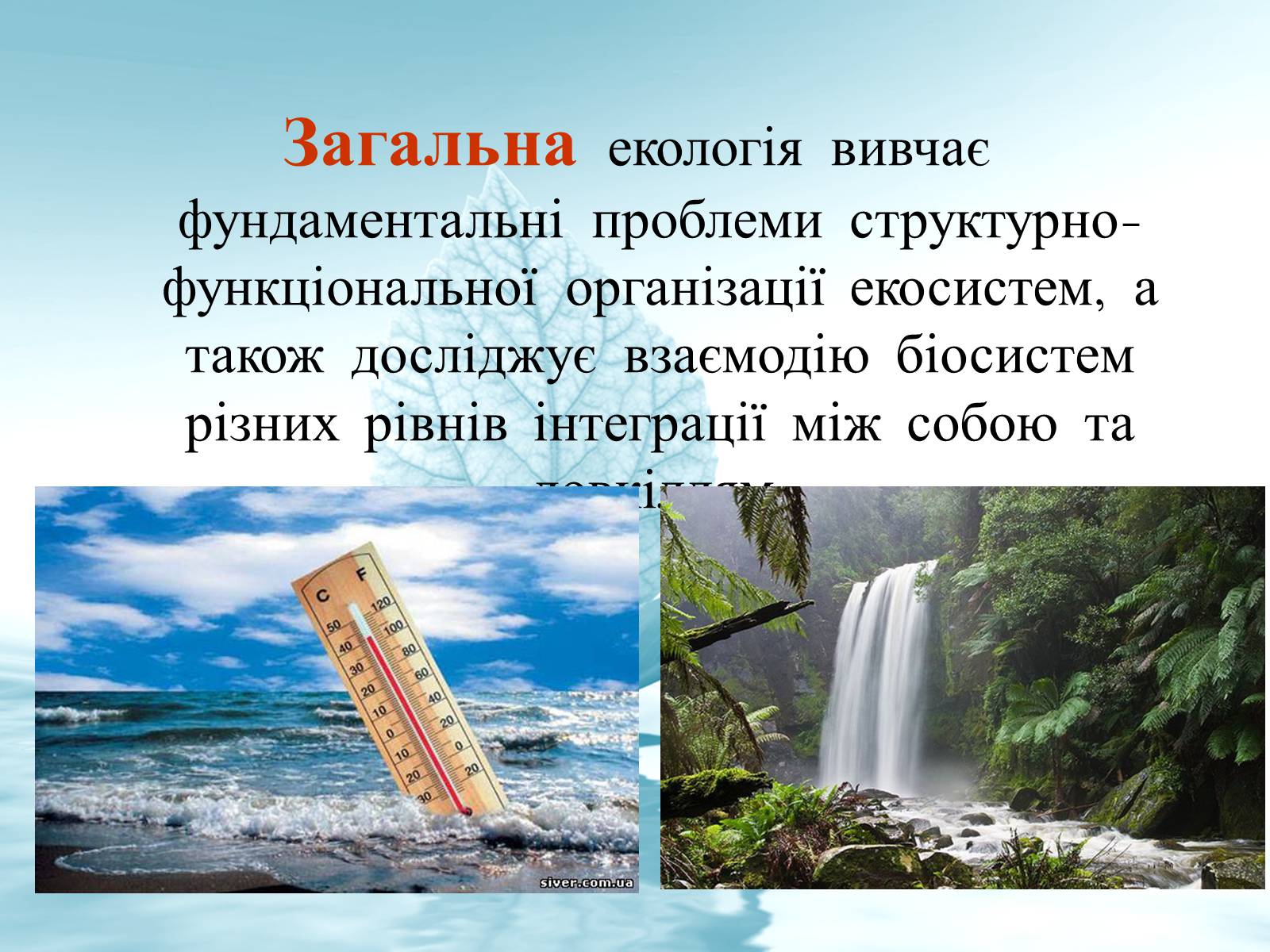 Презентація на тему «Структура сучасної екології та її місце в системі наук» (варіант 3) - Слайд #11 Презентація на тему «Структура сучасної екології та її місце в системі наук» (варіант 3) - Слайд #11