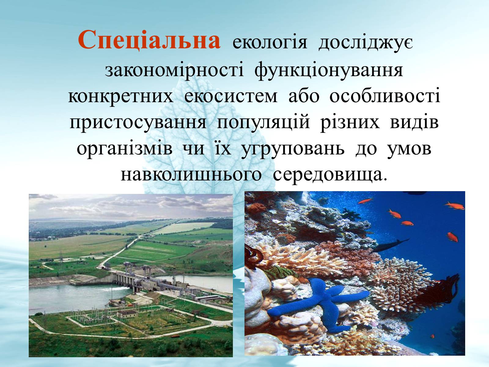 Презентація на тему «Структура сучасної екології та її місце в системі наук» (варіант 3) - Слайд #12 Презентація на тему «Структура сучасної екології та її місце в системі наук» (варіант 3) - Слайд #12