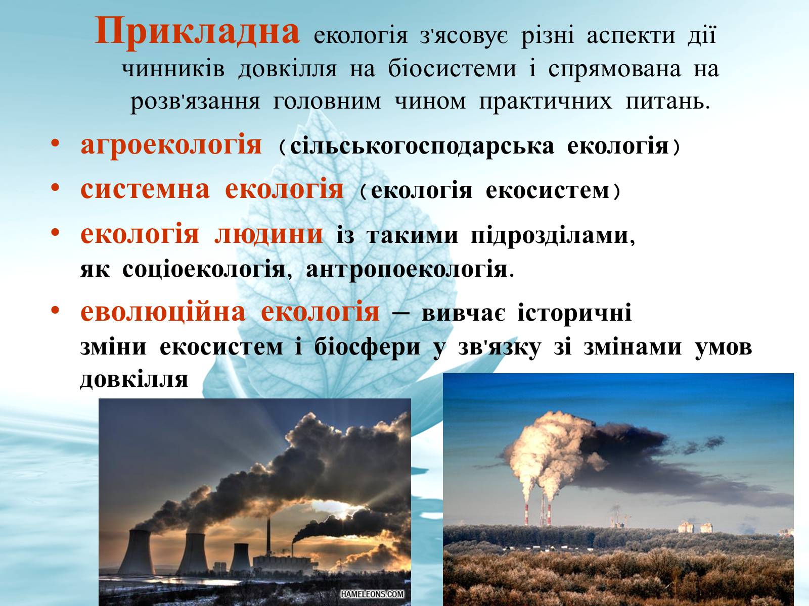 Презентація на тему «Структура сучасної екології та її місце в системі наук» (варіант 3) - Слайд #13 Презентація на тему «Структура сучасної екології та її місце в системі наук» (варіант 3) - Слайд #13