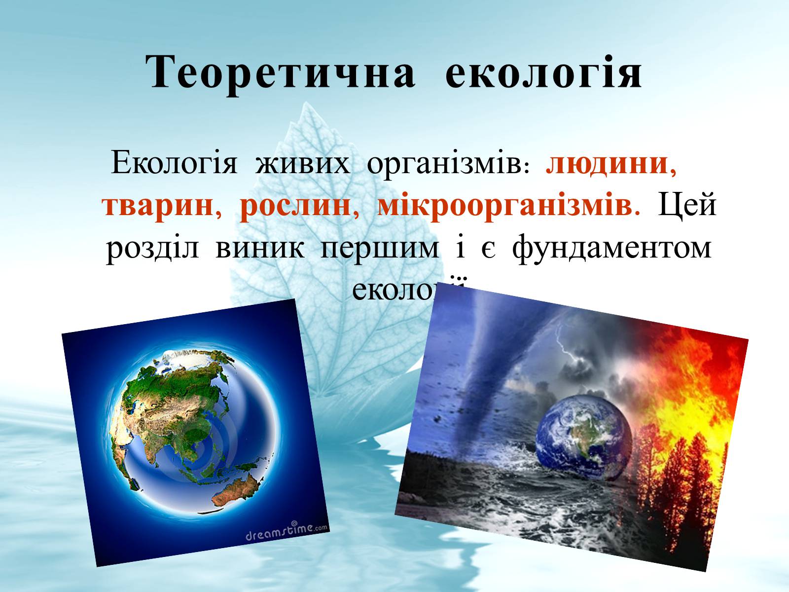 Презентація на тему «Структура сучасної екології та її місце в системі наук» (варіант 3) - Слайд #8 Презентація на тему «Структура сучасної екології та її місце в системі наук» (варіант 3) - Слайд #8