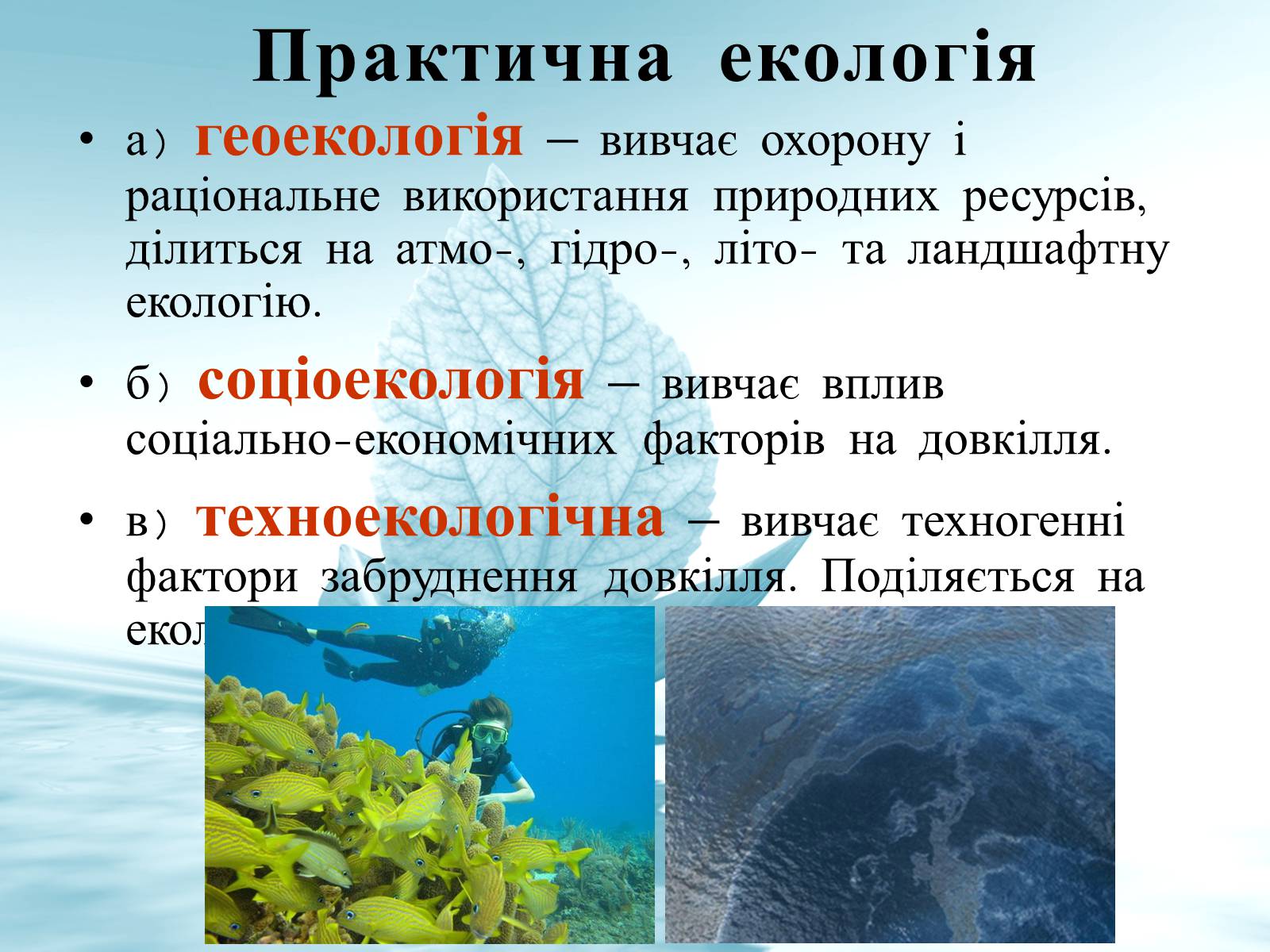 Презентація на тему «Структура сучасної екології та її місце в системі наук» (варіант 3) - Слайд #9 Презентація на тему «Структура сучасної екології та її місце в системі наук» (варіант 3) - Слайд #9