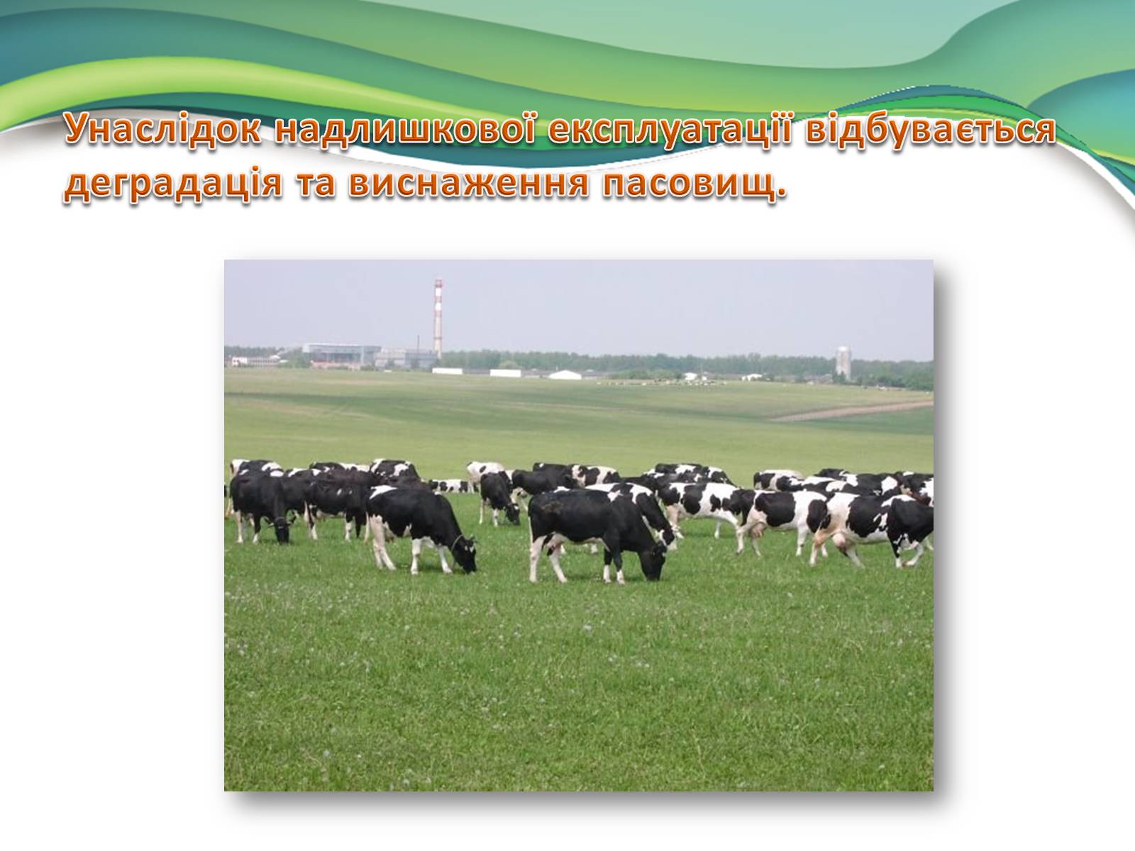 Презентація на тему «Деградація природи» (варіант 3) - Слайд #8 Презентація на тему «Деградація природи» (варіант 3) - Слайд #8