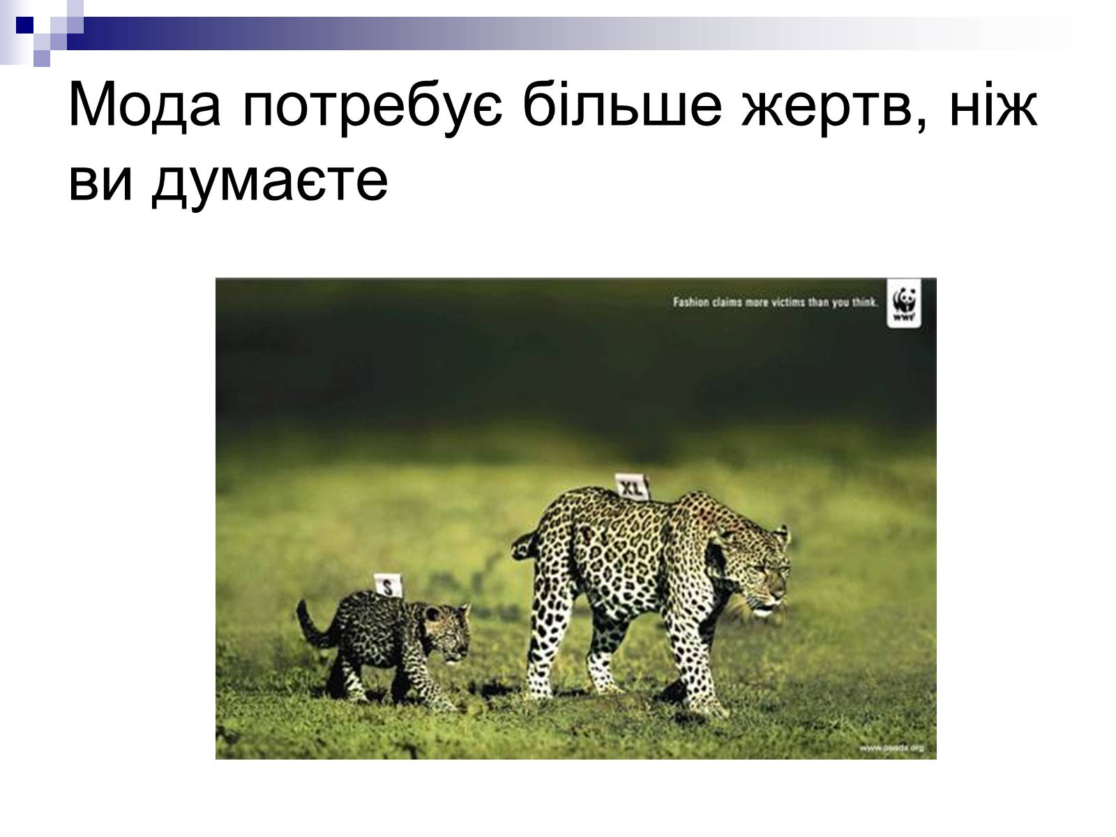 Презентація на тему «Захист навколишнього середовища» (варіант 1) - Слайд #9 Презентація на тему «Захист навколишнього середовища» (варіант 1) - Слайд #9