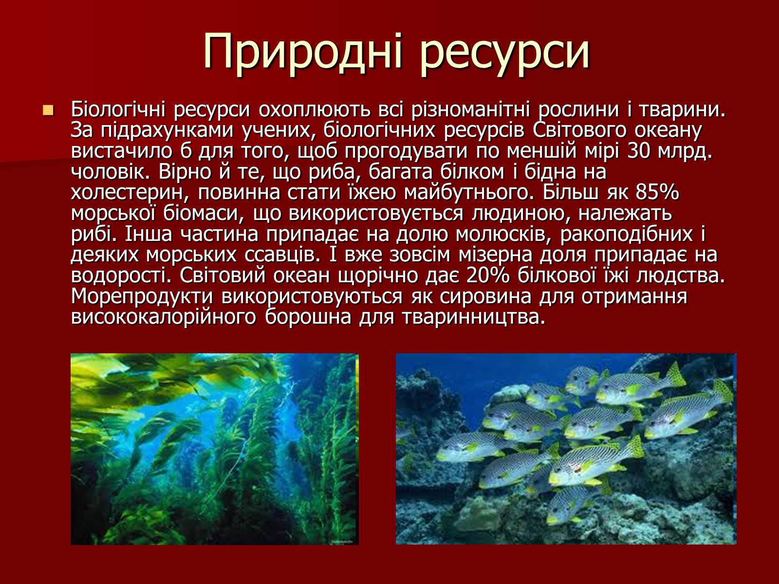 Презентація на тему «Глобальні проблеми людства» (варіант 23) - Слайд #11 Презентація на тему «Глобальні проблеми людства» (варіант 23) - Слайд #11
