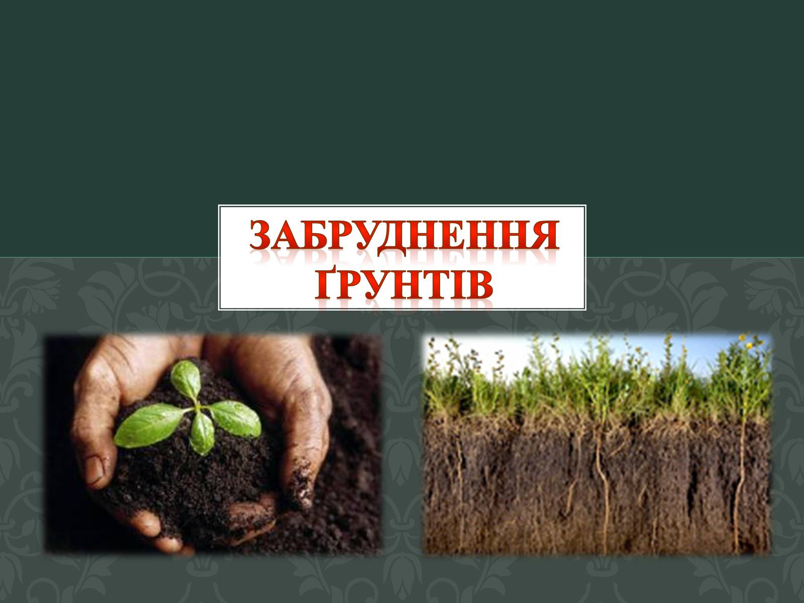 Презентація на тему «Забруднення Ґрунтів» (варіант 2) - Слайд #1 Презентація на тему «Забруднення Ґрунтів» (варіант 2) - Слайд #1