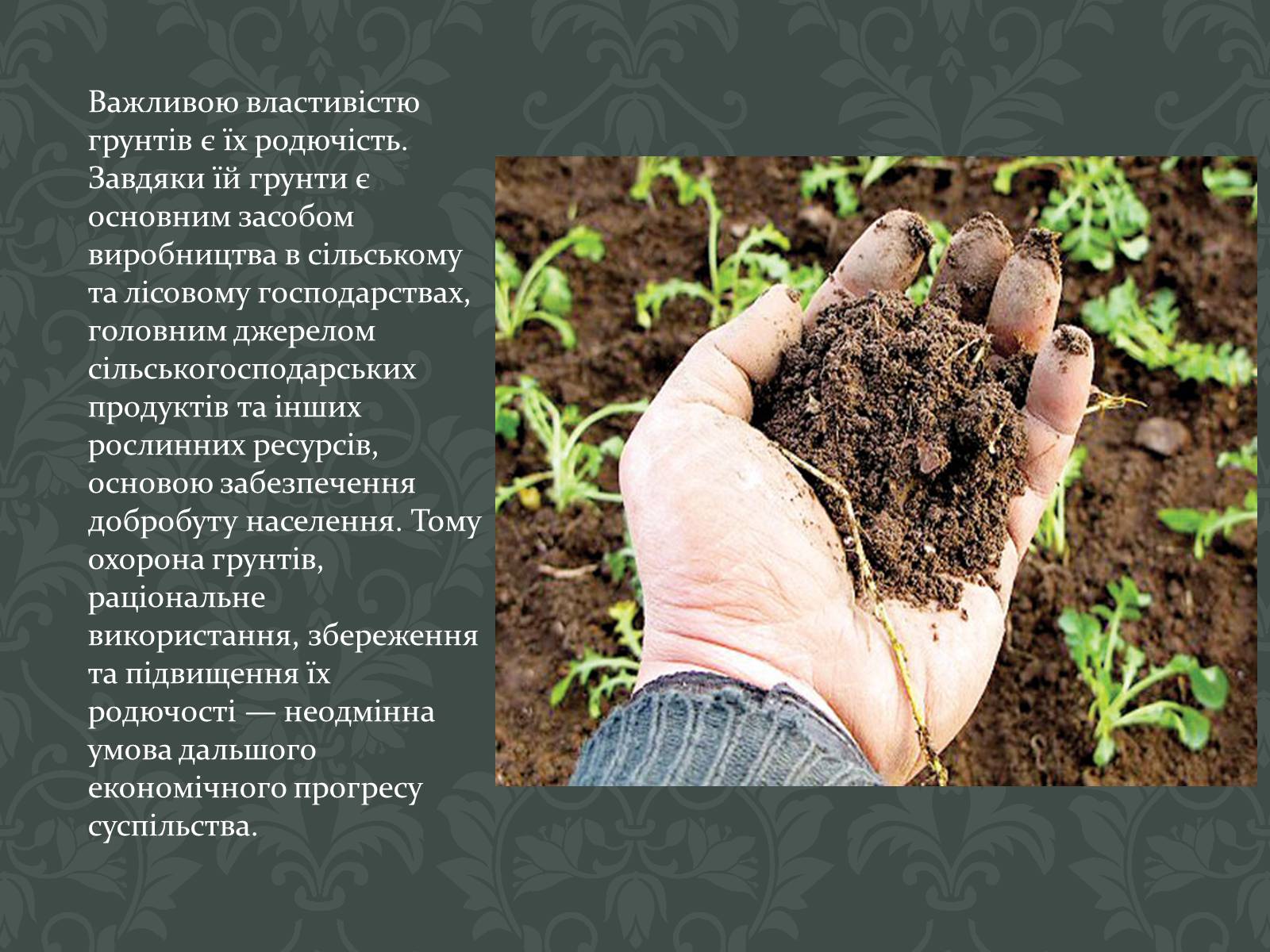 Презентація на тему «Забруднення Ґрунтів» (варіант 2) - Слайд #4 Презентація на тему «Забруднення Ґрунтів» (варіант 2) - Слайд #4