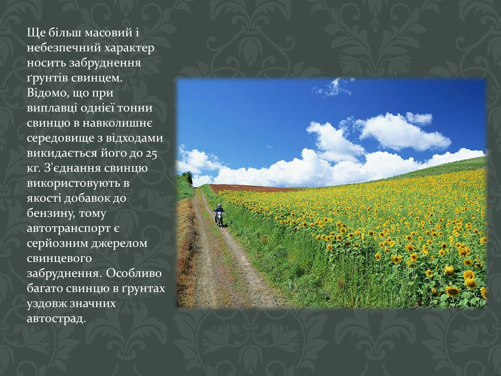 Презентація на тему «Забруднення Ґрунтів» (варіант 2) - Слайд #7 Презентація на тему «Забруднення Ґрунтів» (варіант 2) - Слайд #7