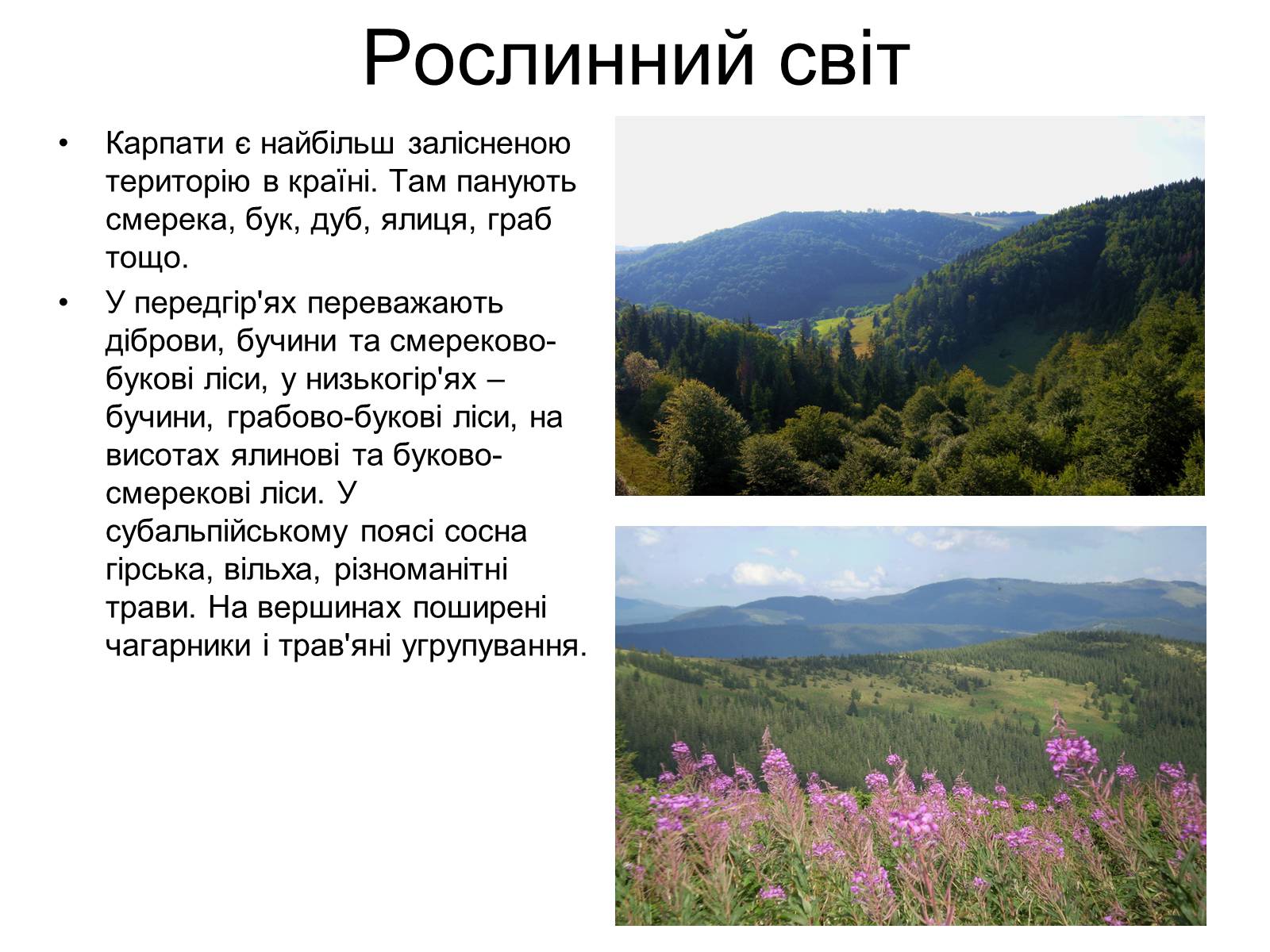 Презентація на тему «Українські карпати» (варіант 6) - Слайд #4 Презентація на тему «Українські карпати» (варіант 6) - Слайд #4
