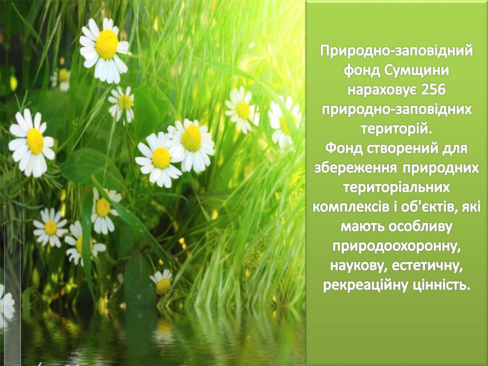 Презентація на тему «Заповідні місця та охороняємі об’єкти Сумщини» - Слайд #2 Презентація на тему «Заповідні місця та охороняємі об’єкти Сумщини» - Слайд #2