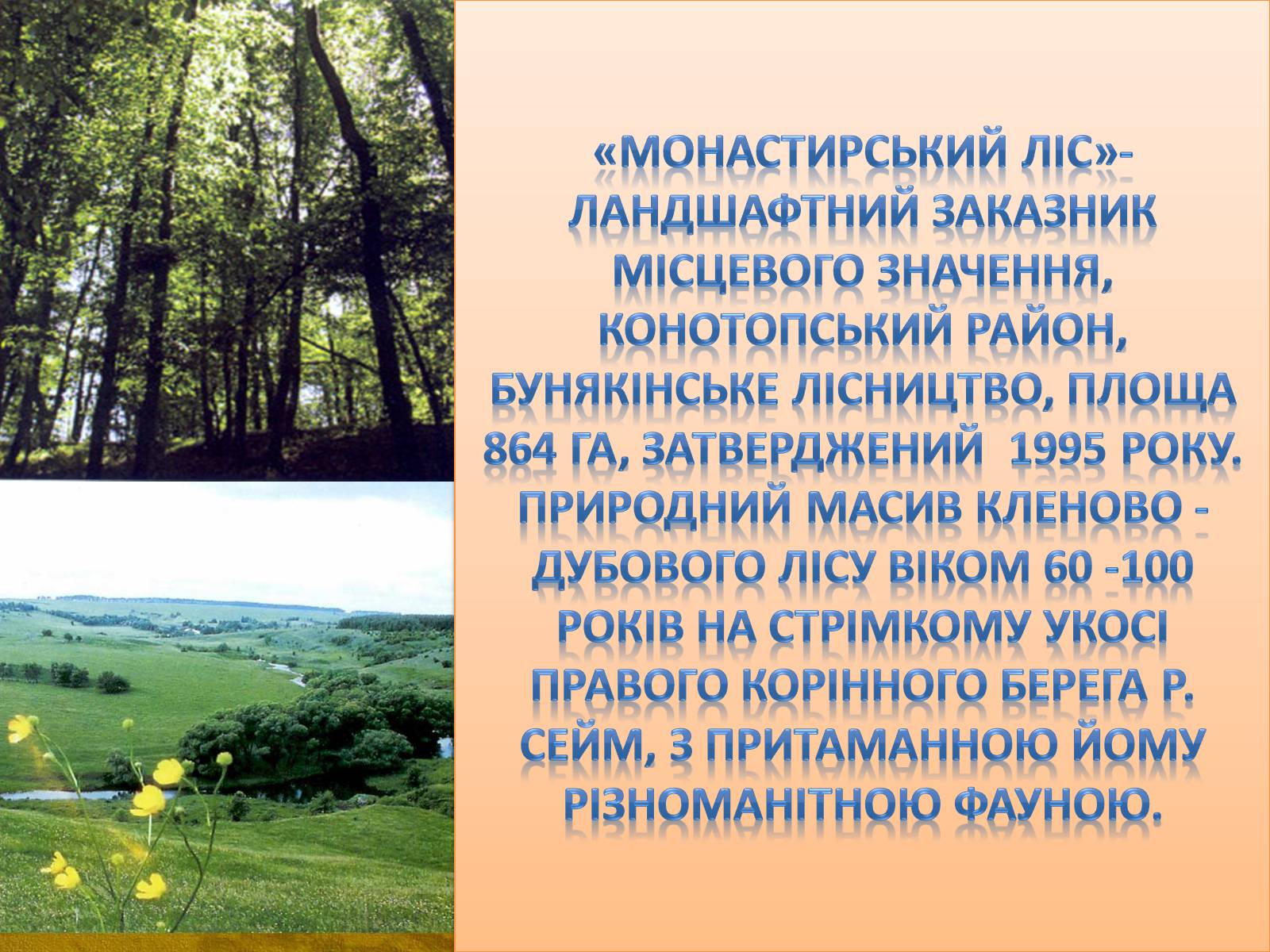 Презентація на тему «Заповідні місця та охороняємі об’єкти Сумщини» - Слайд #3 Презентація на тему «Заповідні місця та охороняємі об’єкти Сумщини» - Слайд #3