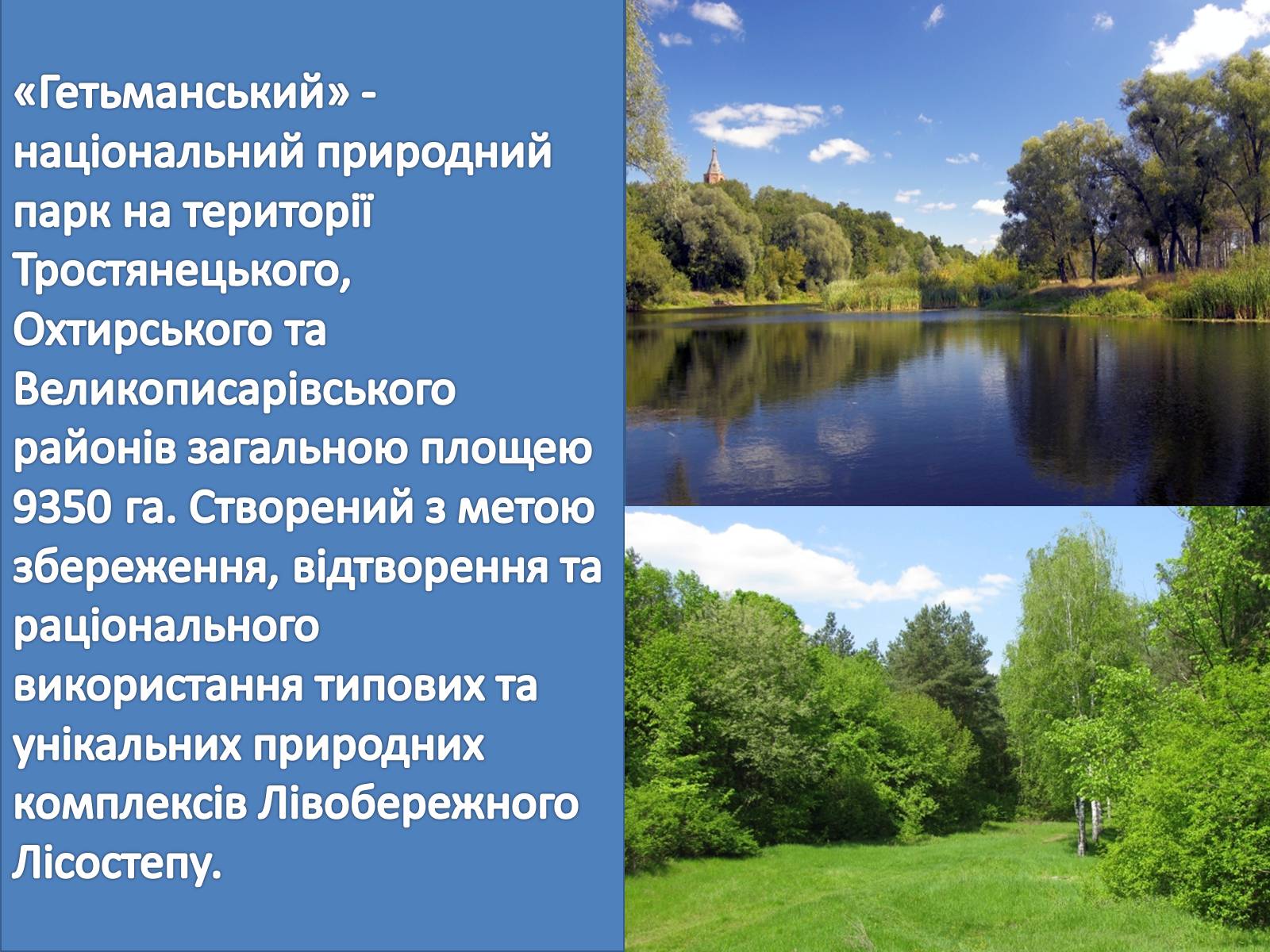Презентація на тему «Заповідні місця та охороняємі об’єкти Сумщини» - Слайд #4 Презентація на тему «Заповідні місця та охороняємі об’єкти Сумщини» - Слайд #4