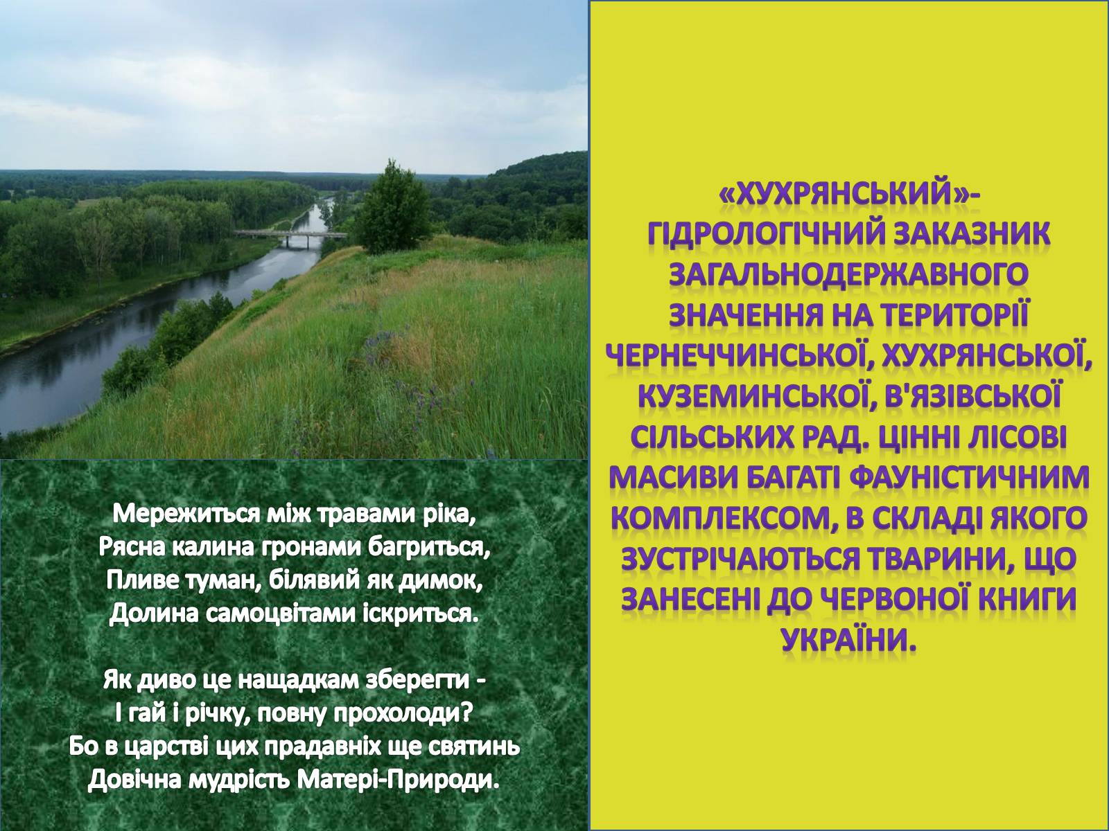 Презентація на тему «Заповідні місця та охороняємі об’єкти Сумщини» - Слайд #8 Презентація на тему «Заповідні місця та охороняємі об’єкти Сумщини» - Слайд #8