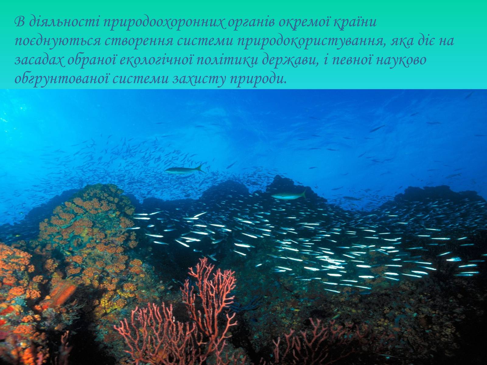 Презентація на тему «Глобальні проблеми світового океану» (варіант 2) - Слайд #14 Презентація на тему «Глобальні проблеми світового океану» (варіант 2) - Слайд #14